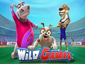 Wild Games Slot Information